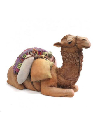 Camello de carga.