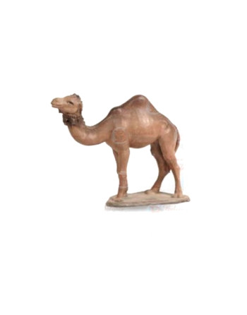 Camello para figuras de 7...