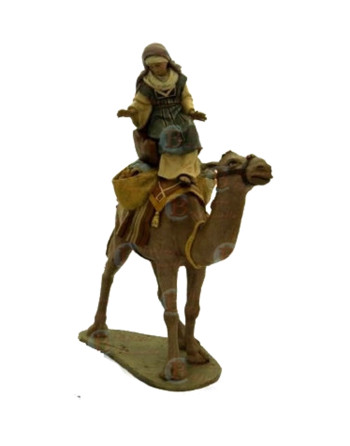 Mujer a camello para...