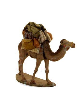 Camello con carga para...