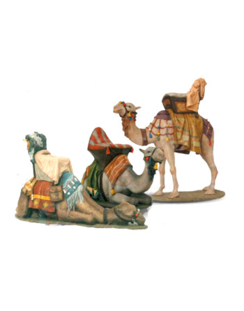 Camellos de los Reyes...