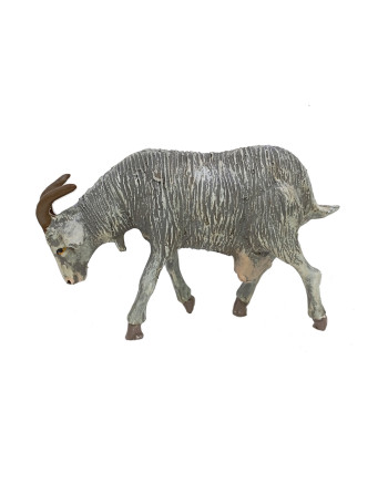 Cabra gris comiendo. A2492161