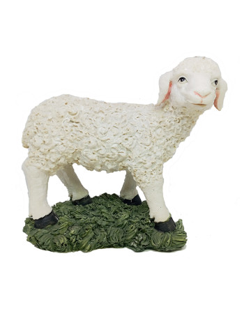 Oveja resina grande. PRES1
