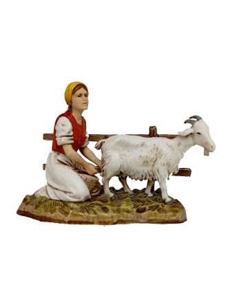 Pastora ordeñando cabra en...