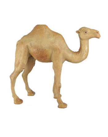 Animales para el Belén camello