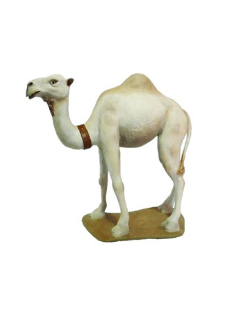 Camello en pie para el Belén
