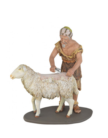 Pastor esquilando oveja 24cm