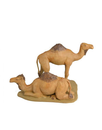 Grupo camellos sin carga...