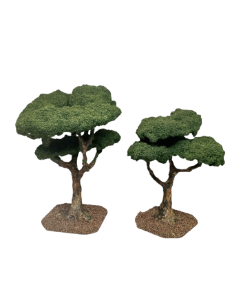 Arboles para el Belén