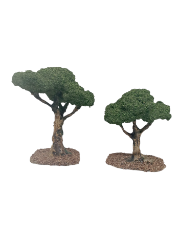 Arboles para el Belén