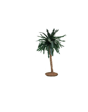 Palmeras para el belén