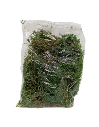 Musgo para el Belén