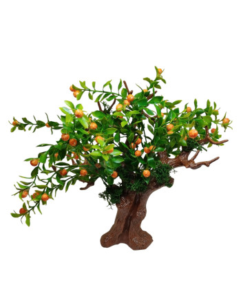 Árboles para el Belén Naranjo