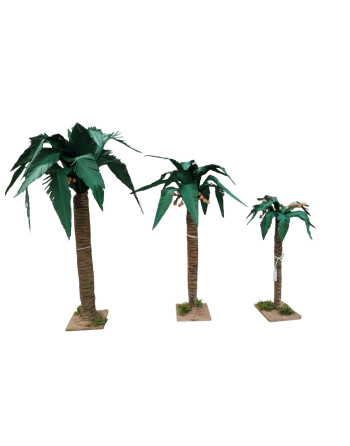 Palmeras miniatura para el...