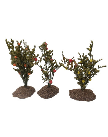 Plantas para el belén
