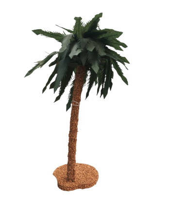 Palmeras para el belén