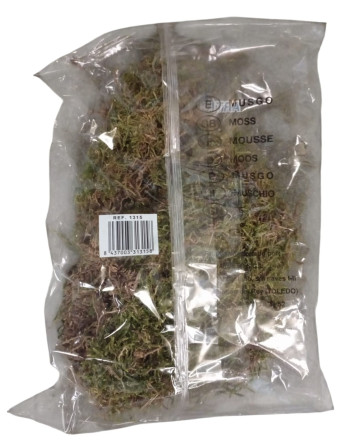 Musgo para el Belén