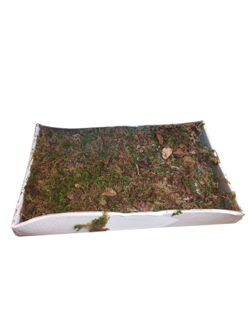 Tapete musgo natural 4 capas.
