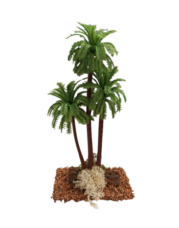 Palmera triple para el Belén