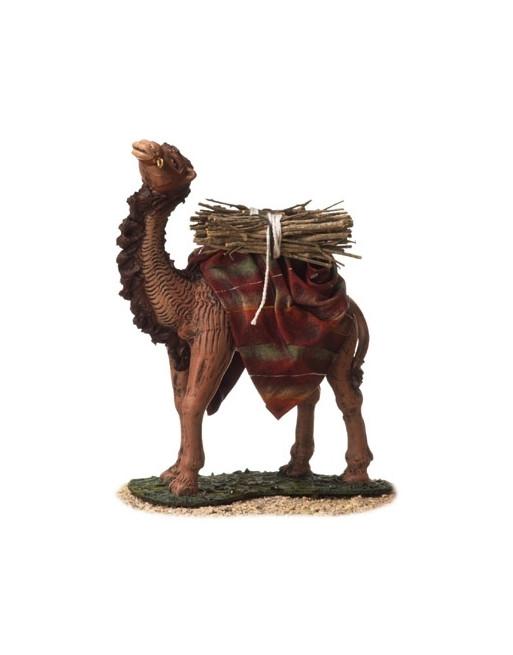 Camello de pie con carga. 