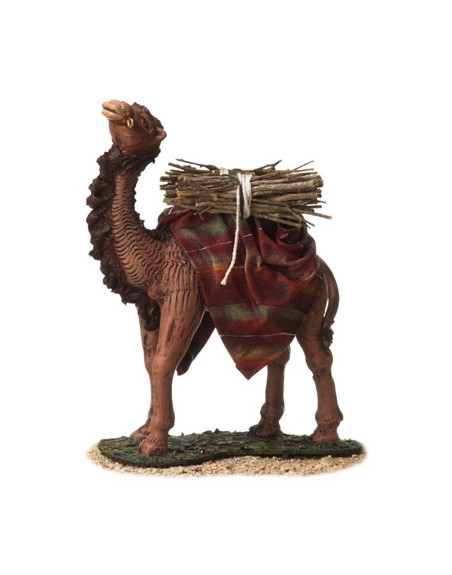 Camello de pie con carga. 