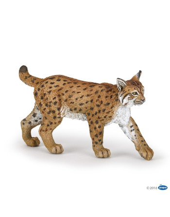 Lince Ref.50241