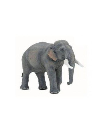Elefante asiático Ref.50131