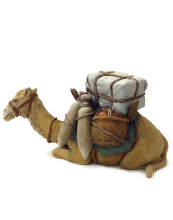 Camello sentado con carga...