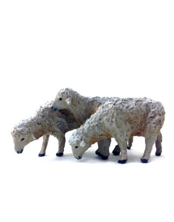 Grupo de tres ovejas...