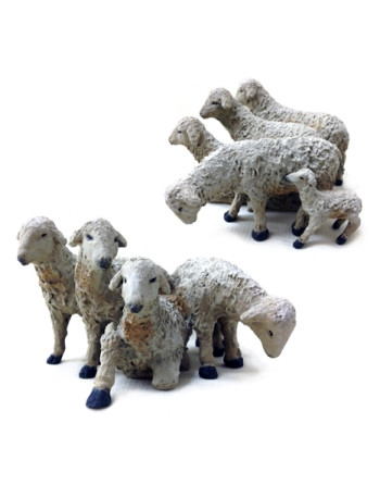 Grupo de cinco ovejas...