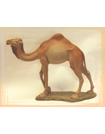 Camello de pie. 35 cm....