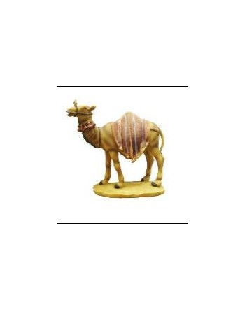 Camello manta rosa. B1504321