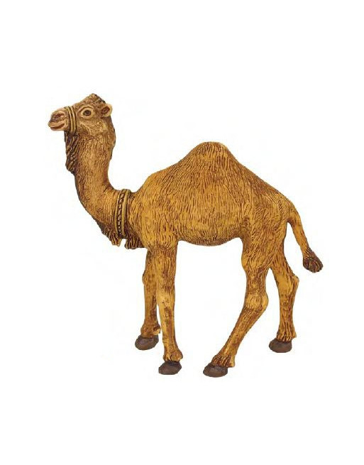 Camello durexina 8 cm. 00628.