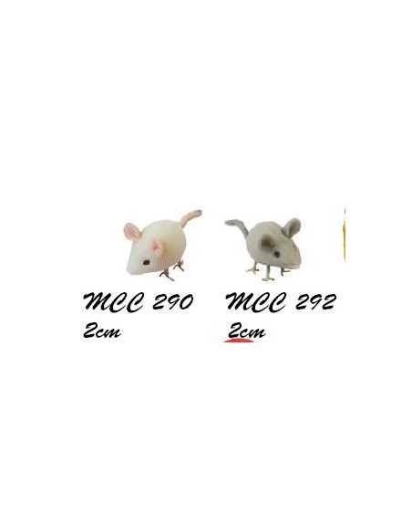 Ratón blanco. MC290
