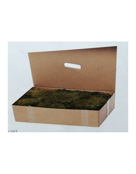 Caja de musgo verde. 01293