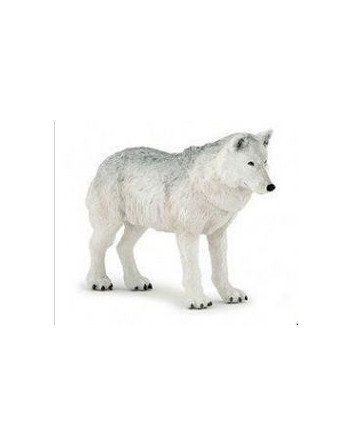 Lobo polar. 50195J