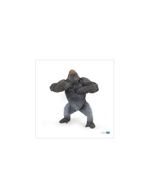 Gorila de montaña. 50243J